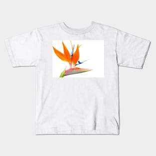 Bird of paradise flower isolated on white. Kids T-Shirt